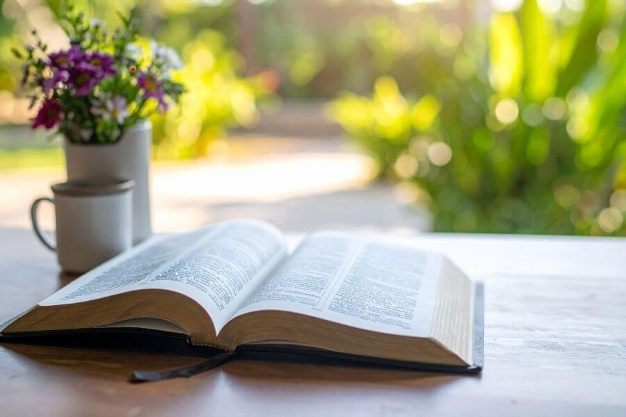 Recomeços: aprendendo o que é prioridade