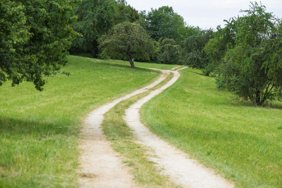 Viemos do pó e ao pó voltaremos